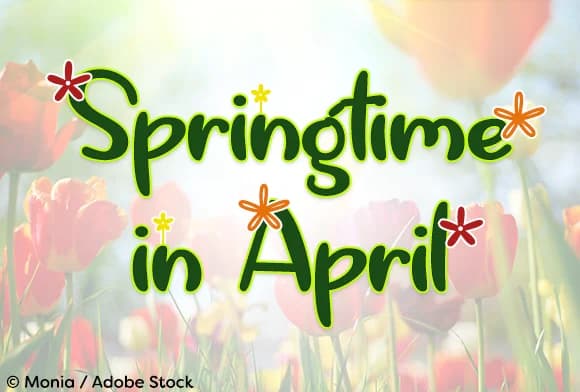 Springtime in April Font by Misti — Script Handwritten Font