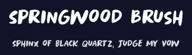 Springwood Brush by Hanoded — Script Handwritten Font — thumbnail 2