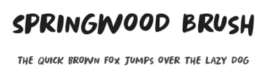 Springwood Brush by Hanoded — Script Handwritten Font — thumbnail 1