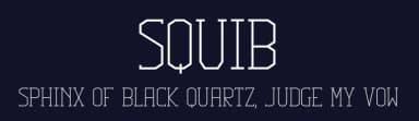 Squib by Heydon Pickering — Serif Font — thumbnail 2