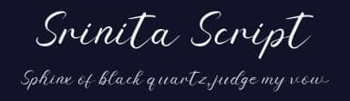 Srinita Script by AEN Creative Studio — Script Handwritten Font — thumbnail 2