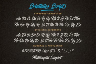 Srinthile Script Font by Almeera Studio — Script Handwritten Font — thumbnail 4