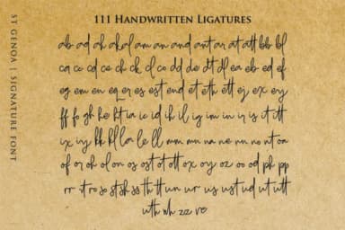 St. Genoa Font by dmletter31 — Script Handwritten Font — thumbnail 9