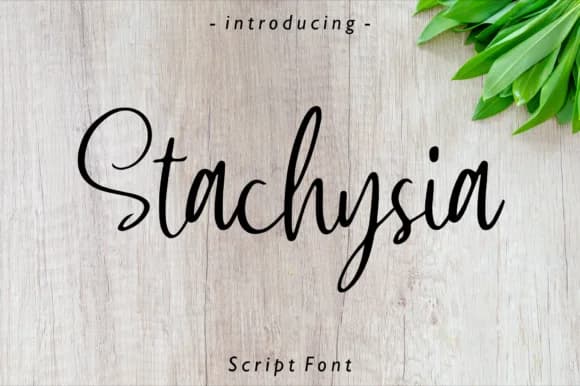 Stachysia Font by Fype Co. — Script Handwritten Font