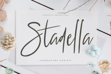 Stadella Font by CreatypeStudio — Script Handwritten Font — thumbnail 1