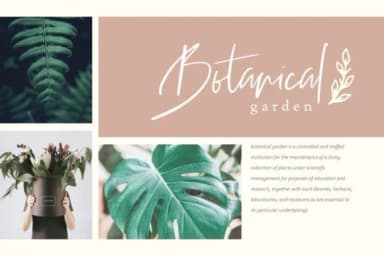 Stadella Font by CreatypeStudio — Script Handwritten Font — thumbnail 3