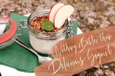 Stadella Font by CreatypeStudio — Script Handwritten Font — thumbnail 6