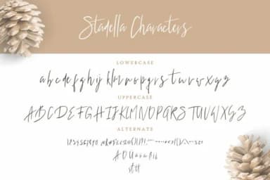 Stadella Font by CreatypeStudio — Script Handwritten Font — thumbnail 7