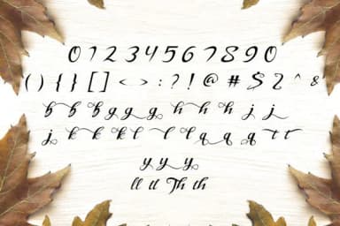 Stanburghe Font by Dieza Art — Script Handwritten Font — thumbnail 7