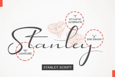 Stanley Script Font by utopiabrand19 — Script Handwritten Font — thumbnail 8
