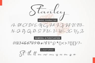 Stanley Script Font by utopiabrand19 — Script Handwritten Font — thumbnail 9
