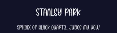 Stanley Park by Andi Moz — Script Handwritten Font — thumbnail 2