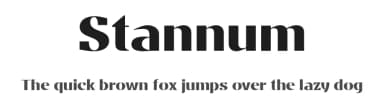Stannum by Eko Bimantara — Sans Serif Font — thumbnail 1