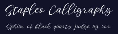 Staples Calligraphy by 177Studio — Script Handwritten Font — thumbnail 2