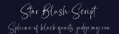 Star Blush Script by VampStudio — Script Handwritten Font — thumbnail 2