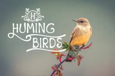 Starchild Font by jehansyah251 — Script Handwritten Font — thumbnail 3