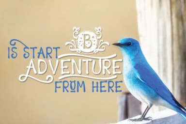 Starchild Font by jehansyah251 — Script Handwritten Font — thumbnail 4