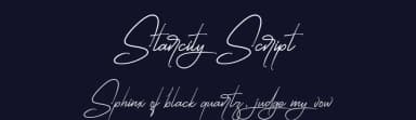 Starcity Script by Typeline Studio — Script Handwritten Font — thumbnail 2