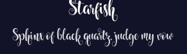 Starfish by Francis Studio / Pendesal Studio — Script Handwritten Font — thumbnail 2