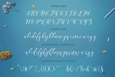 Starina Font by Mellow Design Lab — Script Handwritten Font — thumbnail 5