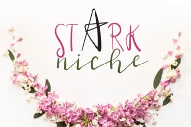 Stark Niche Font by Zmapist — Script Handwritten Font — thumbnail 1