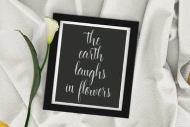 Starlight Script Font by Stripes Studio — Script Handwritten Font — thumbnail 2