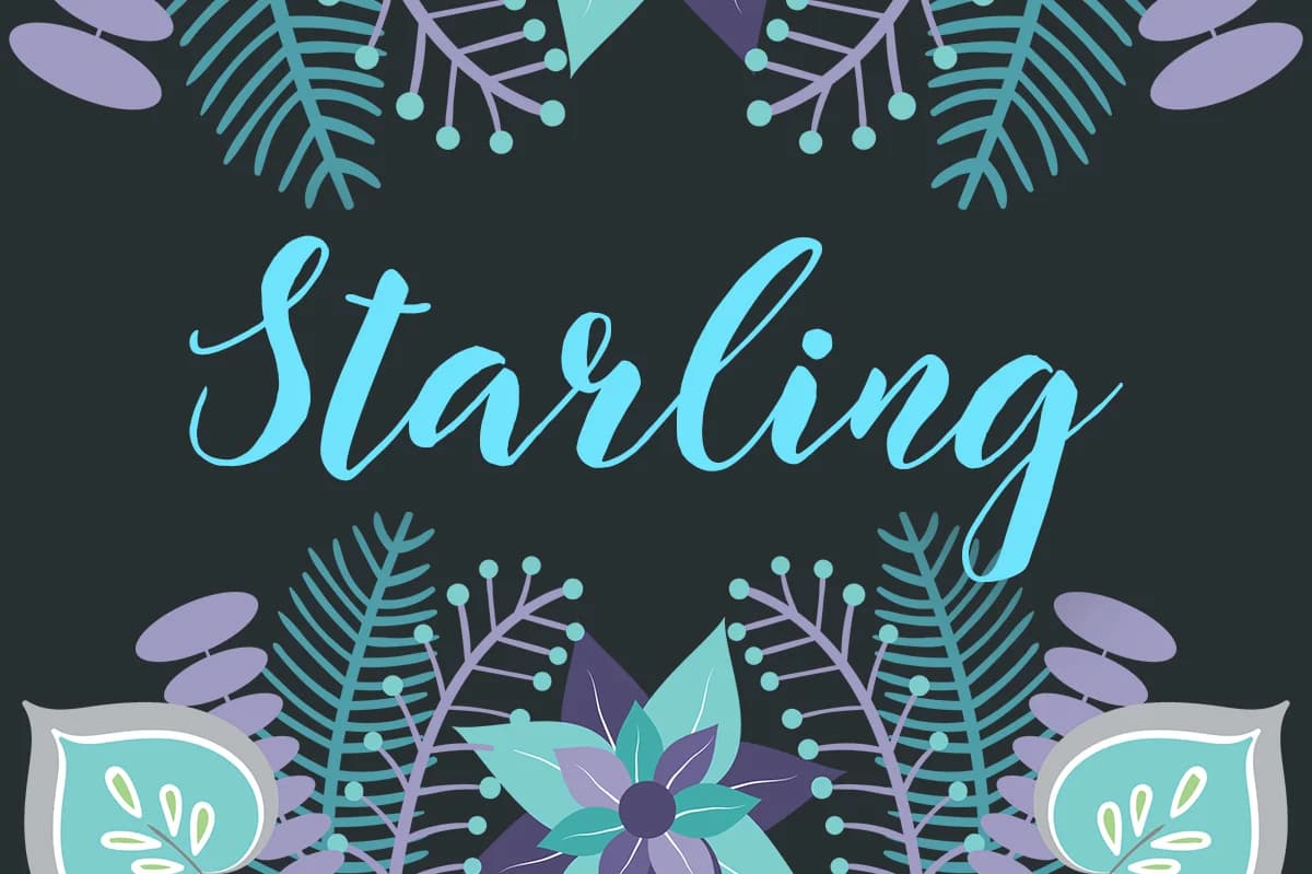 Starling Font by No Gravity Type — Script Handwritten Font