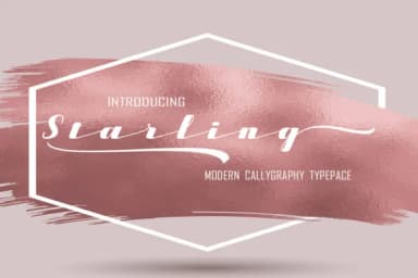 Starling Font by typedesign93 by typedesign93 — Script Handwritten Font — thumbnail 1