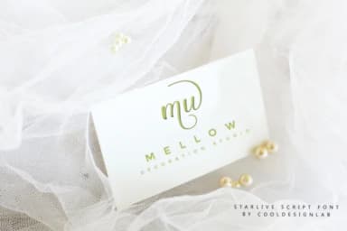 Starlive Script Font by Cooldesignlab — Script Handwritten Font — thumbnail 8