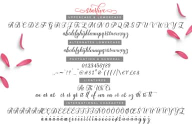 Starlive Script Font by Cooldesignlab — Script Handwritten Font — thumbnail 9