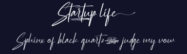 Startup Life by VinType — Script Handwritten Font — thumbnail 2