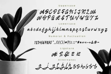 Staryl Font by Vunira — Script Handwritten Font — thumbnail 5