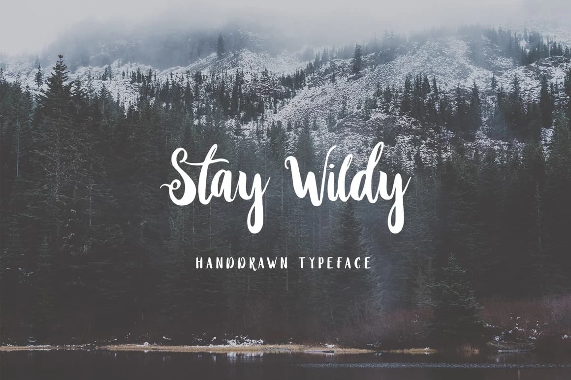 Stay Wildy Font by Dikas Studio — Script Handwritten Font