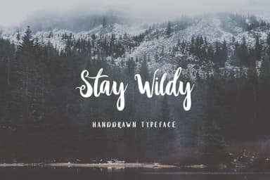 Stay Wildy Font by Dikas Studio — Script Handwritten Font — thumbnail 1