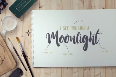 Stay Wildy Font by Dikas Studio — Script Handwritten Font — thumbnail 2