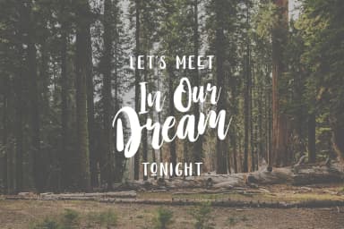 Stay Wildy Font by Dikas Studio — Script Handwritten Font — thumbnail 3