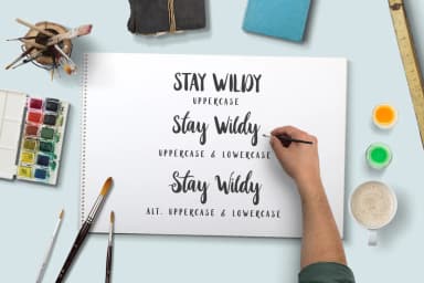 Stay Wildy Font by Dikas Studio — Script Handwritten Font — thumbnail 4