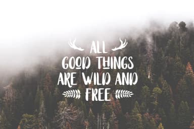 Stay Wildy Font by Dikas Studio — Script Handwritten Font — thumbnail 5