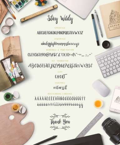 Stay Wildy Font by Dikas Studio — Script Handwritten Font — thumbnail 8