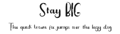 Stay BIG by Edric Studio — Script Handwritten Font — thumbnail 1