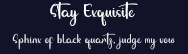 Stay Exquisite by Inermedia Studio — Script Handwritten Font — thumbnail 2