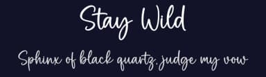 Stay Wild by Graphix Line Studio — Script Handwritten Font — thumbnail 2