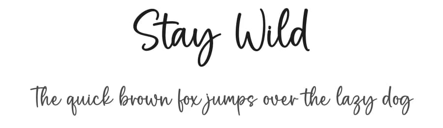 Stay Wild by Graphix Line Studio — Script Handwritten Font