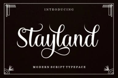 Stayland Font by LetterFreshStudio — Script Handwritten Font — thumbnail 1