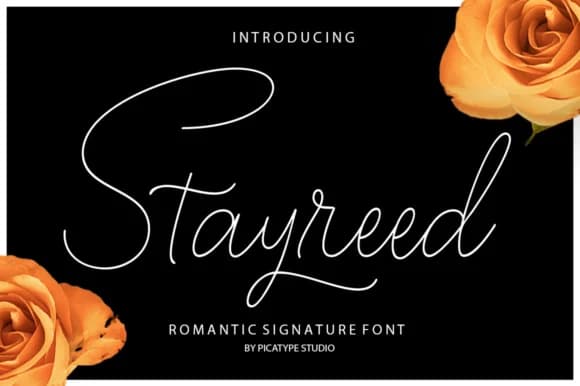 Stayreed Font by Picatype Studio — Script Handwritten Font