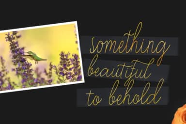 Stayreed Font by Picatype Studio — Script Handwritten Font — thumbnail 3