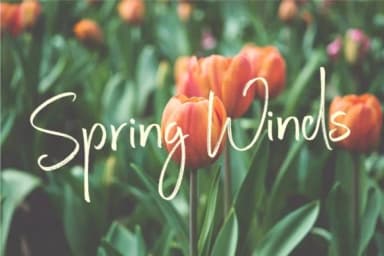 Steadfast Font by wornoutmedia — Script Handwritten Font — thumbnail 4