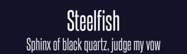 Steelfish by Typodermic Fonts — Sans Serif Font — thumbnail 2