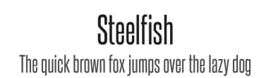 Steelfish by Typodermic Fonts — Sans Serif Font — thumbnail 1