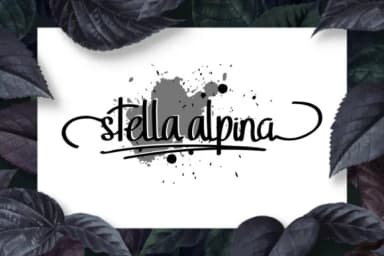 Stella Alpina Font by EdricStudio — Script Handwritten Font — thumbnail 2